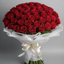 Букет 101 Красная роза Блэк Мэджик в Янауле