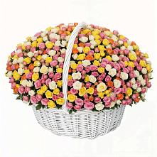 Премиум букет из: Розы в Янауле