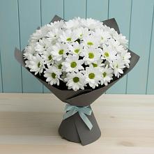 Букет цветов из:  Хризантемы в Янауле