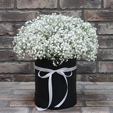Цветочная композиция из Гипсофила в шляпной коробке #REPLACE_PRED# Янауле